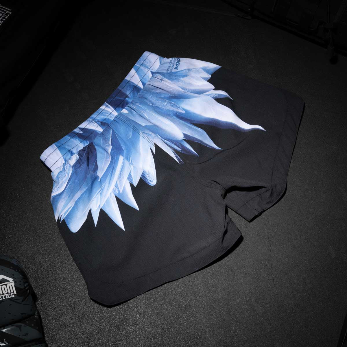 Fightshorts FUSION-R Iceman - Image 5
