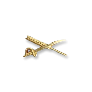 Pin do Exercito dos Estados Unidos